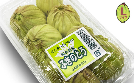収穫から24時間以内に発送！ほろ苦い春の味わい「ふきのとう」Lサイズ1パック100g（約8個） F21T-347