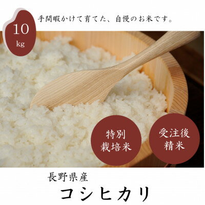 【ふるさと納税】【新米先行予約】長野県産特別栽培米 コシヒカリ10kg【1651029】