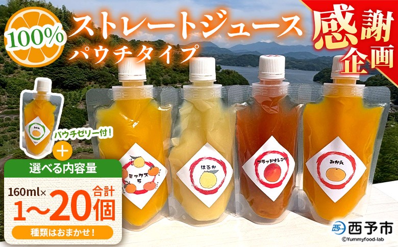 
                  【感謝企画】＜100％ストレートジュース パウチタイプ160ml 合計1～20個＞『1か月以内に順次発送予定』選べる 内容量 種類はおまかせ 飲み比べ 果物 くだもの フルーツ 柑橘類 みかん 蜜柑 ミカン みかんジュース 飲料 渡江から一歩を踏み出す会 愛媛県 西予市【常温】
                