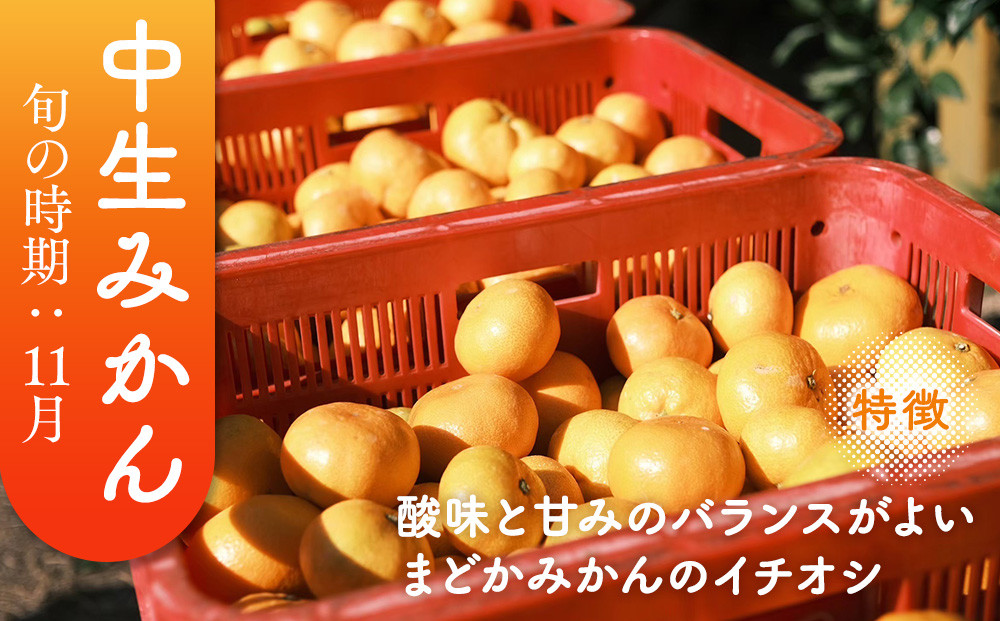 ［先行予約］［訳あり］蔵出しみかん（晩生みかん）S?Lサイズ混合 5kg＋300g（傷み補償分）［2027年1月上旬より発送］