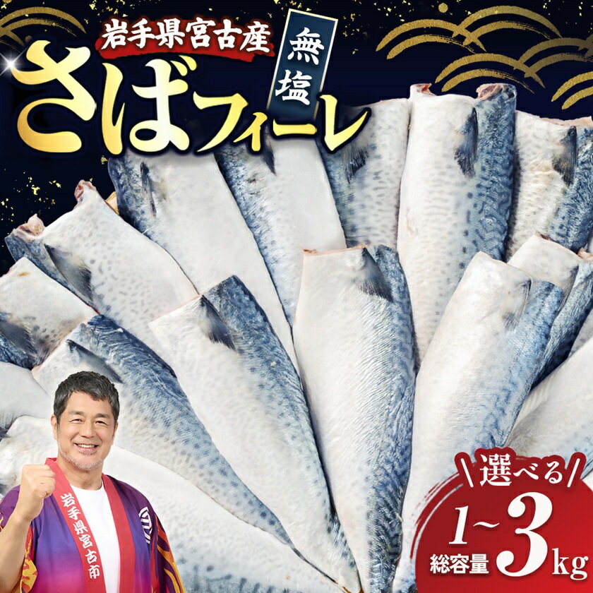 【ふるさと納税】国産無塩さば　フィーレ・フィレ　無添加(1kg、2kg、3kg)【配送不可地域：離島】【G1722188】