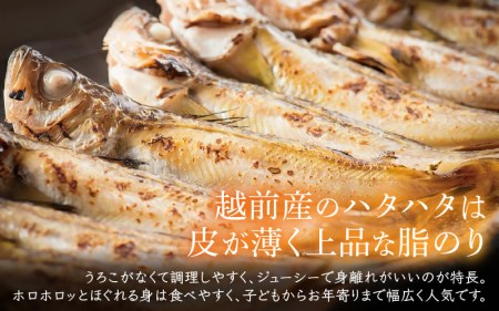 越前産 干しはたはた（3～4尾）× 3パック 越前塩のみで仕上げた一塩干し！【干物 海鮮 冷凍 個包装 】 [e04-a108]