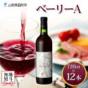 【ふるさと納税】ベーリーA 720ml×12本 ふるさと納税ワイン 赤ワイン ブドウ 葡萄 酒 お酒 果実酒 贈答 ギフト プレゼント 晩酌 宅飲み 家飲み キャンプ BBQ バーベキュー パーティー 熨斗 のし 名入れ不可 送料無料 山梨県 笛吹市 177-4-070