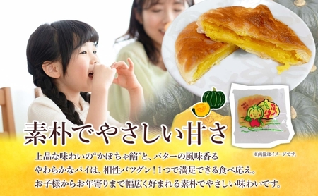 北海道美深銘菓 かぼちゃパイ16個