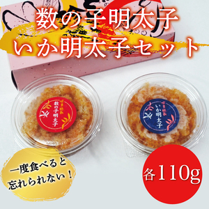 【ふるさと納税】数の子明太子＆いか明太子 セット 各110g とくとく珍味 辛子明太子使用 [a9214] 株式会社マル五 ※配送不可：離島【返礼品】添田町 ふるさと納税