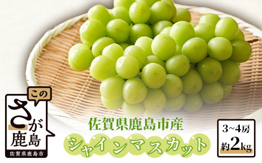 
            【2025年発送 先行予約】【朝採れ新鮮】シャインマスカット 約2kg（2025年8月中旬から出荷）佐賀県鹿島市産 マスカット フルーツ 果物 ぶどう ブドウ 葡萄 C-38
          