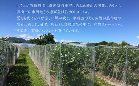 7層のブルーベリーボトルパフェ180ml× 2本入り ブルーベリーパフェ