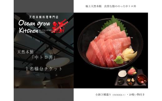 oceangrow kitchen お食事券（天然本鮪中トロ丼）1名様分　M007-020-01