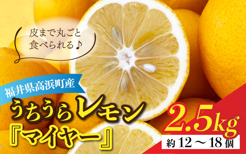 
【先行予約】日本海で育ったうちうらレモン「マイヤー2.5kg」皮まで丸ごと食べられます！【11月中旬より順次発送】
