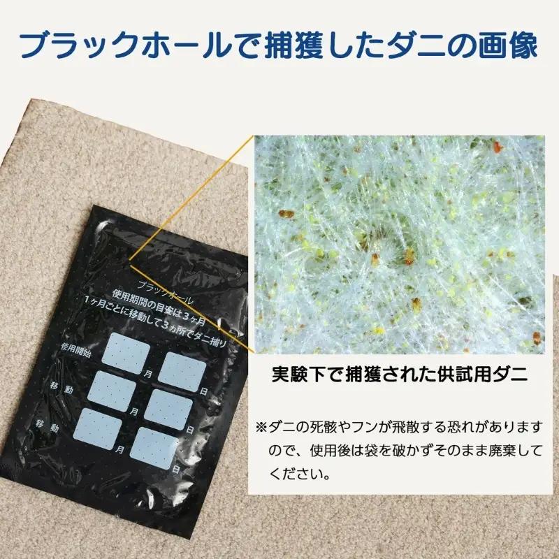 【3回定期便】ダニ捕り パック ブラックホール 6個入 ダニ ダニ取り
