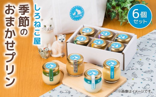 プリン 手作り 季節のプリンおまかせ 6個セット お菓子 デザート スイーツ おいしい  おやつ 洋菓子 ご褒美 静岡県 藤枝市