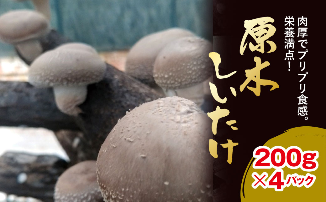【先行予約 11月中旬から順次発送】原木しいたけ 200ｇ×4パック AU003