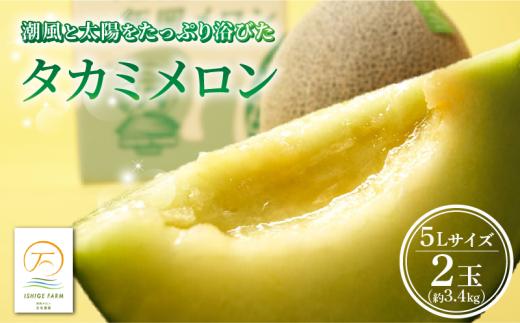 ＜2026年 先行予約 ＞ タカミメロン 青肉 5L サイズ × 2玉 セット (計約 3.4kg) 6月 7月 発送 産地直送 メロン 高級 ブランド 糖度 貴味 タカミ 飯岡メロン ブランドメロン 贈り物 贈答 ギフト プレゼント 果物 フルーツ おすすめ 人気 デザート 千葉県 旭市 飯岡 石毛農園 igf003
