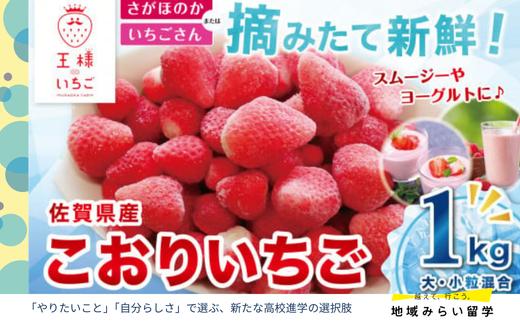 
            【先行予約｜王様のいちご】佐賀県江北町産 こおりいちご 1kg（冷凍いちご）
          