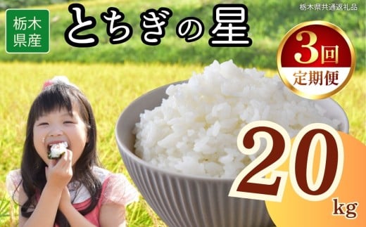 【定期便3回】栃木県産とちぎの星 20kg | 2025年 2025年米 令和7年米 秋 白米 ごはん ご飯 小分け 人気 おいしい 旨い おにぎり おむすび お弁当 限定 栃木県共通返礼品 栃木県 下野市 送料無料 