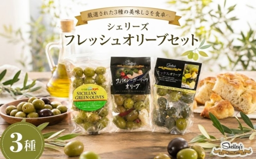 シェリーズ　フレッシュオリーブ3種セット（A） ／ 塩漬けオリーブ イタリア産オリーブ 神奈川県 No.595