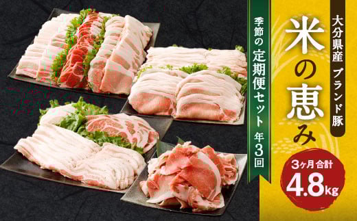 【3回定期便】大分県産ブランド豚「米の恵み」季節の定期便セット 計4.8kg（1〜2月・5〜6月・9〜10月）定期便 豚肉