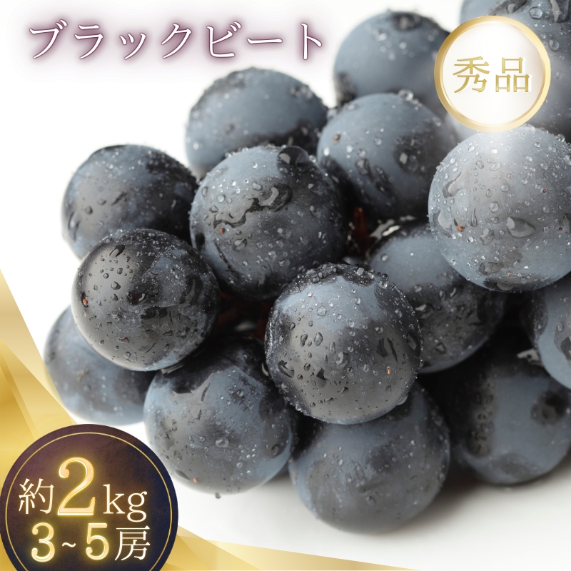 2kg箱入り（3~5房）種無し ブラックビート（ブドウ・ぶどう）【2025年7月下旬～順次発送（限定数量）】【G217-art019A】