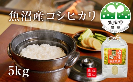 
                  【令和8年産 先行予約】 森山農園 魚沼産コシヒカリ 5kg
                