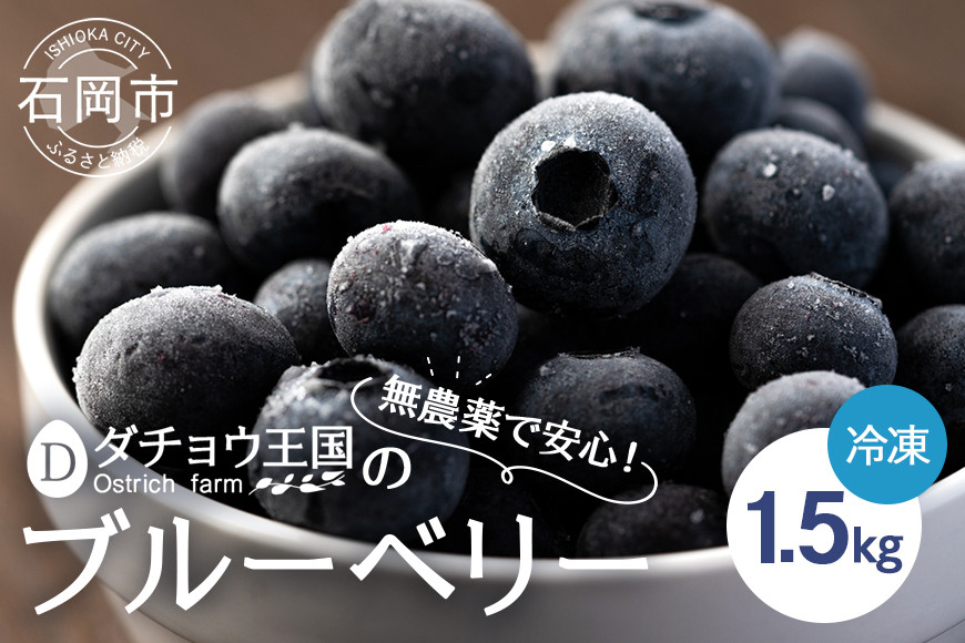 
            冷凍 ブルーベリー 1.5kg ダチョウ王国産 ( 500g 3パック ) 完熟 1.5キロ 果物 フルーツ 国産 産地直送 農家直送 産直 くだもの スムージー ジャム ヨーグルト デザート 茨城 茨城県 石岡市 (C05-002)
          