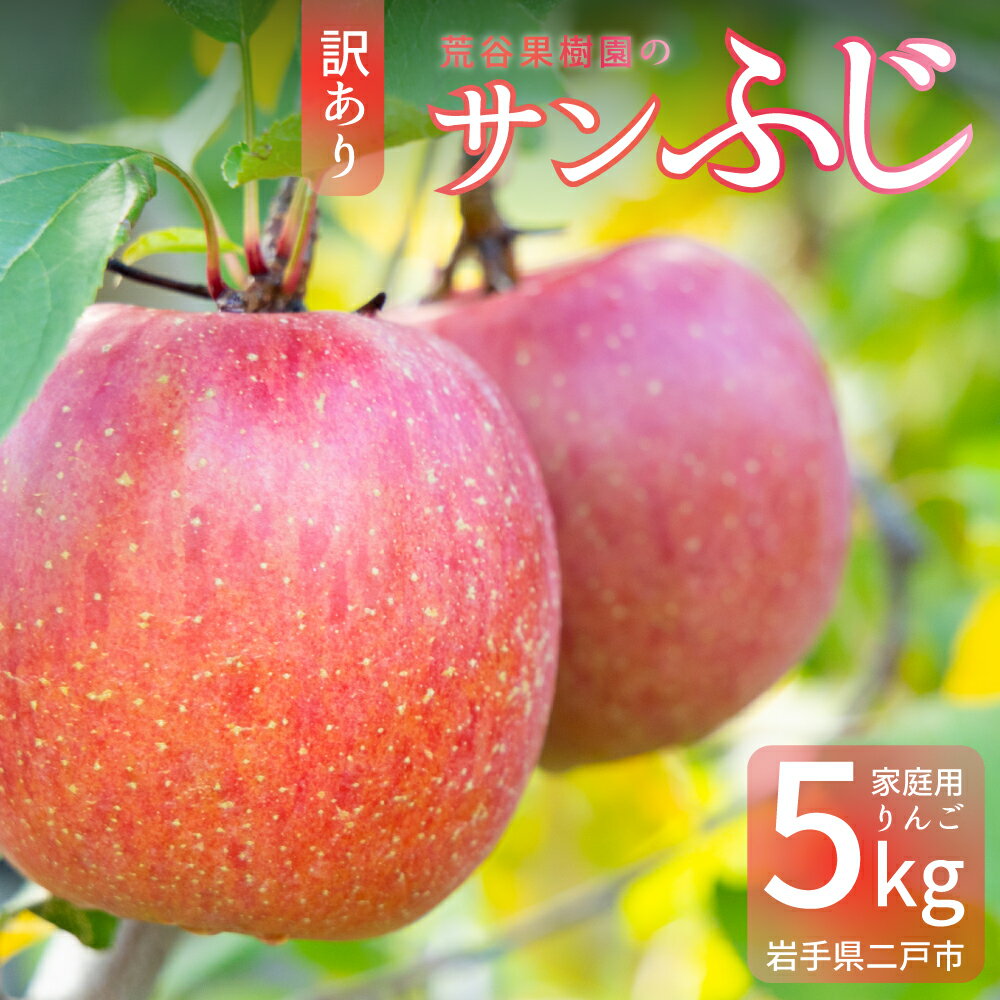 【ふるさと納税】【訳あり】サンふじ 約5kg 12～23玉前後 家庭用 大きさ不揃い キズあり りんご 林檎 果物 フルーツ 岩手県産 東北産 国産 送料無料【2025年12月発送予定】