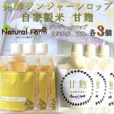 ふるさと納税 枕崎市 発酵ジンジャーシロップ&amp;甘麹　各3パックセット B7-3