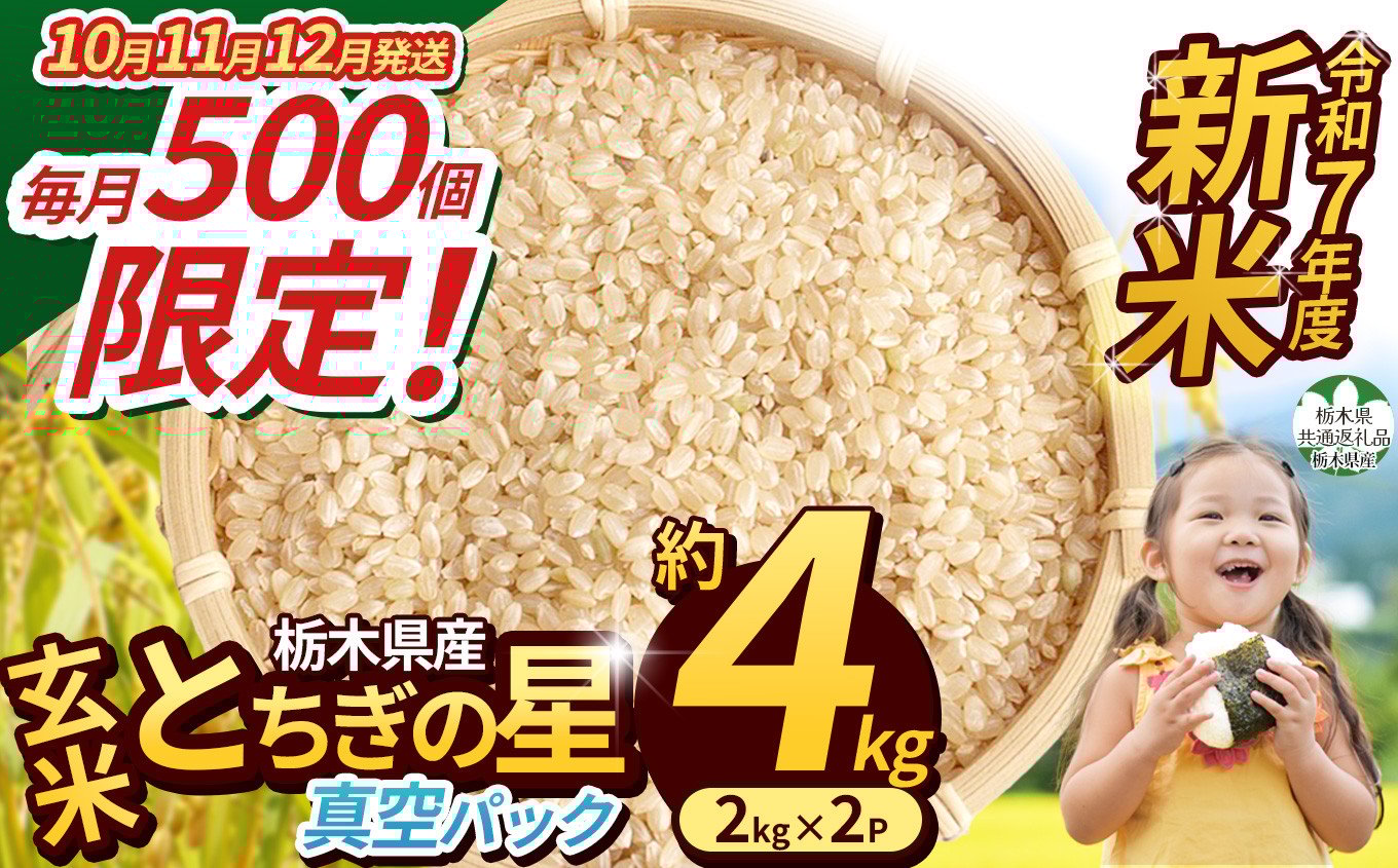 
            【先行予約】【令和7年度新米】【毎月500個限定！】 【栃木県共通返礼品】栃木県産とちぎの星 2kg×2（玄米真空パック） | とちぎの星 玄米 米 ごはん  冷めてもおいしい ふるさと納税 那珂川町 栃木県
          