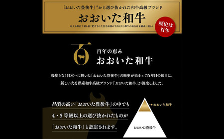 おおいた和牛 ヒレ ステーキ (6枚) | ステーキ ヒレ 津久見市