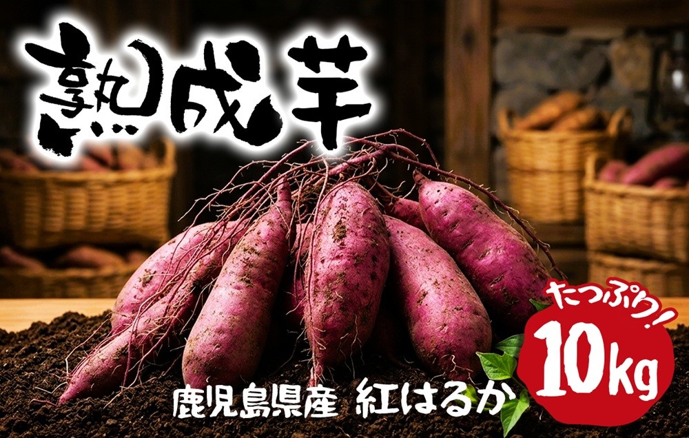 
                  B2-2145／熟成芋 (紅はるか 生芋) 10kg
                