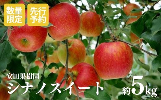
            No.0780 りんご　シナノスイート　約5kg【2025年度発送】
          