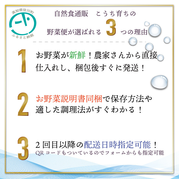 【年12回】高知から直送！旬の季節のお野菜定期便（7~9品）