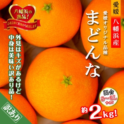2025年11月より発送開始　ぷるぷる食感!!「まどんな」約2キロ【訳あり・家庭用】【B39−58】【配送不可地域：離島】【1512437】