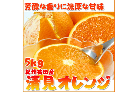 とにかくジューシー清見オレンジ　５kg ※2026年3月下旬頃〜2026年4月中旬頃に順次発送予定