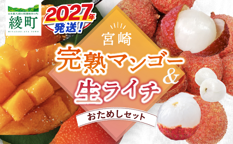 先行予約 数量限定 希少 完熟マンゴー 1玉 生ライチ 1パック セット マンゴー 宮崎 国産ライチ 果物 フルーツ くだもの 2027年 国産 高級 南国フルーツ 詰め合わせ おすすめ ギフト 贈り