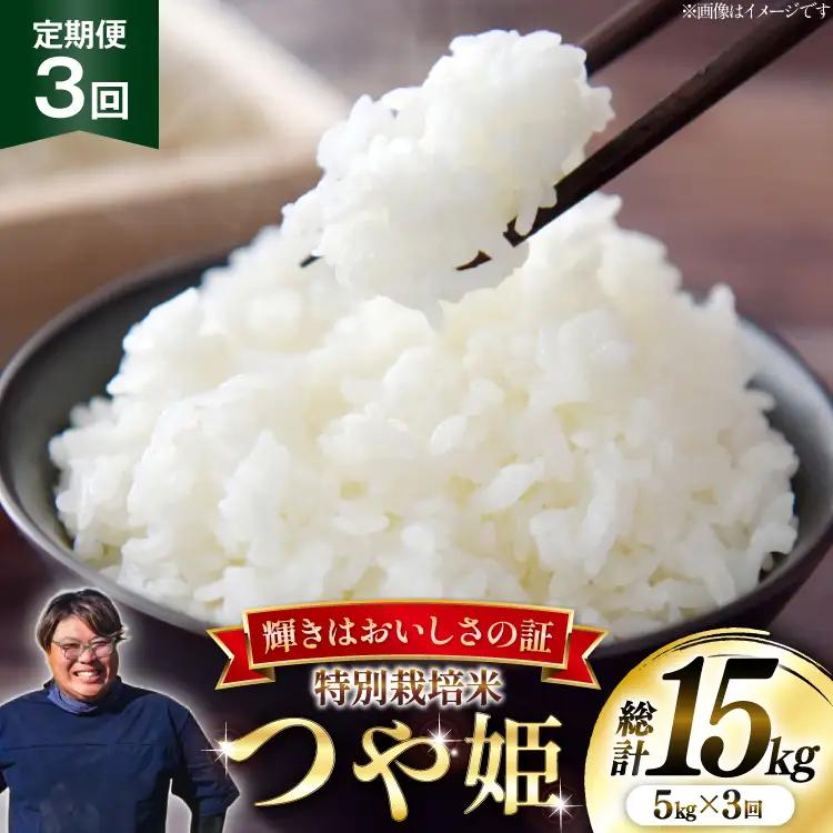 米 定期便 3回 令和8年産 特別栽培米 つや姫 5kg