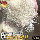 【ふるさと納税】No.415 白米　コシヒカリ30kg【令和6年産】 ／ 自然 お米 米 こめ 送料無料 茨城県