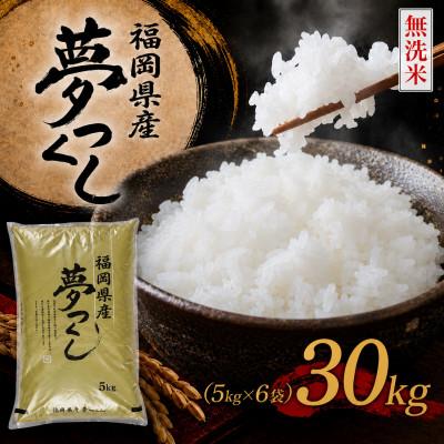 ふるさと納税 香春町 《無洗米》【新米　8年産】9月〜出荷【食味鑑定士厳選】福岡県 夢つくし30k(5k×6袋)(香春町)