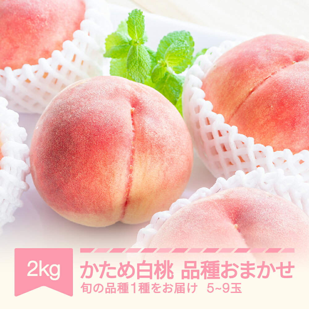 【ふるさと納税】【先行予約】 かため白桃おまかせ もも 桃 品種おまかせ 約2kg 令和8年産 2026年産 果物 送料無料 ※沖縄・離島への配送不可 mm-mokox2000