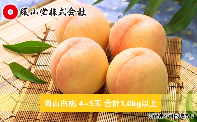 桃 2027年 先行予約 岡山 白桃 4～5玉 合計1.0kg以上 もも モモ 岡山県産 国産 フルーツ 果物 ギフト 環山堂