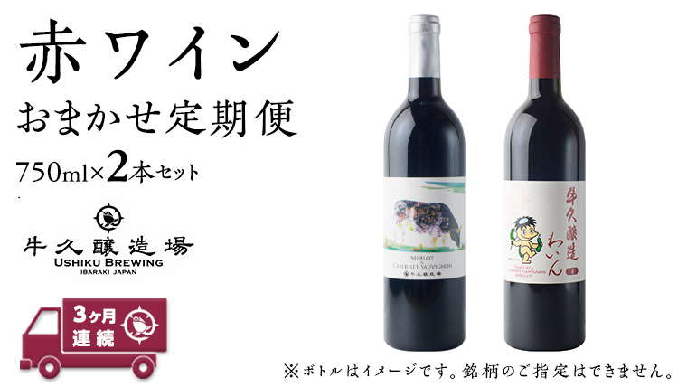 【 3ヶ月連続 】 赤ワイン おまかせ 定期便 2本セット 飲み比べ 茨城県産 牛久醸造場 厳選 750ml × 2本 お酒 ワイン ワイン好き 初心者 上級者 贈り物 ギフト 詰め合わせ [BJ039us]