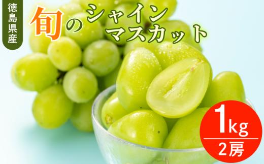シャイン マスカット フルーツ 果物 2房 冷蔵 1kg 種なし 大粒 高級 甘い シャインマスカット ぶどう 産地直送 国産 徳島県 【6月中旬～8月中旬まで順次発送】