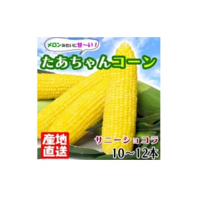 とうもろこし スイート 白水農園のたあちゃんコーン 10～12本 約3kg[No5354-0288]