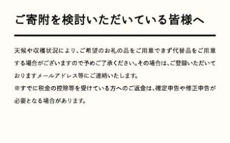 《先行予約》2026年 山形県産 紅秀峰 バラ詰め 約700g L~2Lサイズ以上 やまのべ多田耕太郎のさくらんぼ サクランボ tn-bsxlb700