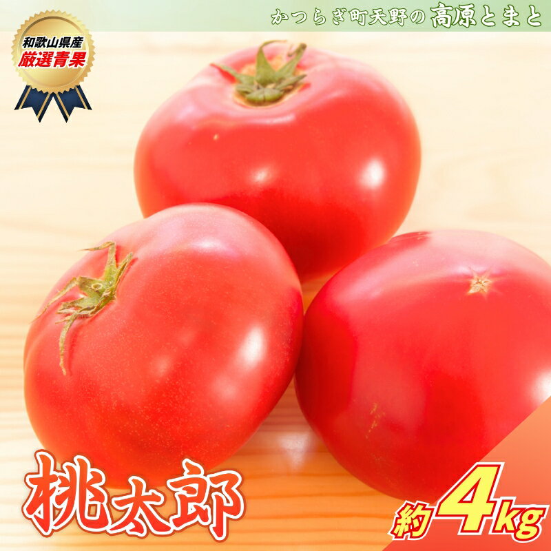 【ふるさと納税】 太陽の恵みたっぷりの天野とまと【桃太郎トマト約4kg】【2026年7月中旬～10月下旬発送】/ とまと トマト 完熟 和歌山 甘い 先行受付 旬 国産