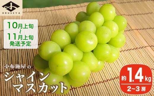シャインマスカット 約1.4kg 2～3房 ［小布施屋］ フルーツ 果物 くだもの ぶどう 葡萄 ブドウ 数量限定 クール便配送 長野県産 産地直送 先行予約 送料無料 2026 2026年発送 令和8年産 【2026年10月上旬～11月上旬にかけて順次発送】