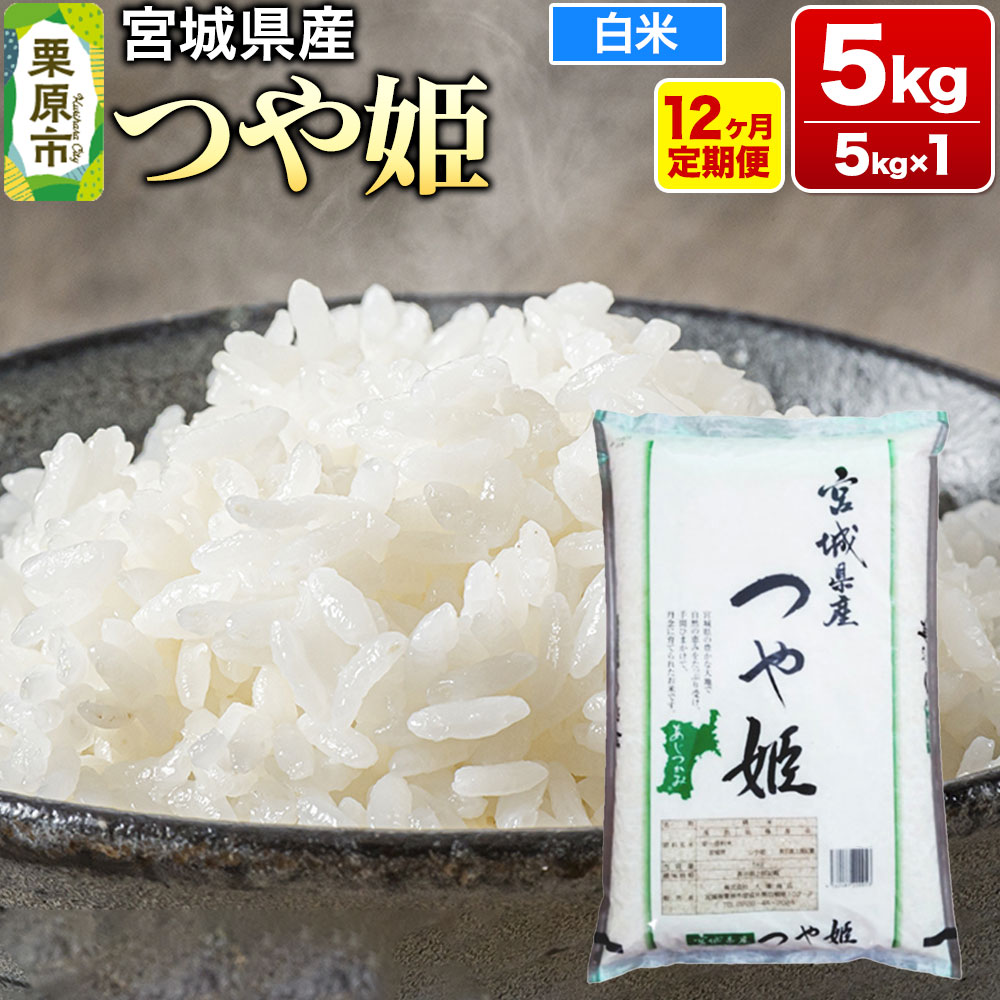 【ふるさと納税】《定期便12ヶ月》【令和6年産・白米】宮城県産 つや姫 毎月5kg (5kg×1袋)×12ヶ月