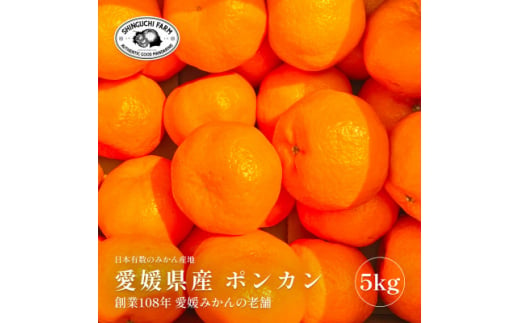 創業百八年 愛媛みかんの老舗＜ポンカン5kg＞家庭用＜新口農園＞＜C70-24＞【1470666】