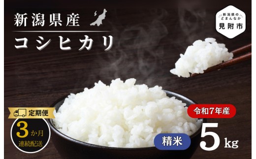 
                  【3か月定期便】R7年産 新潟県産 コシヒカリ 5kg （精米）新潟のど真ん中 見附市 こしひかり 米 お米 白米 おすすめ 人気 こめ コメ 新潟 見附 7年 2025年産 ふるさと納税
                