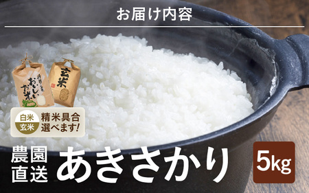令和7年産 (白米) あきさかり 5kg ブランド米 米 [A-8983_01]