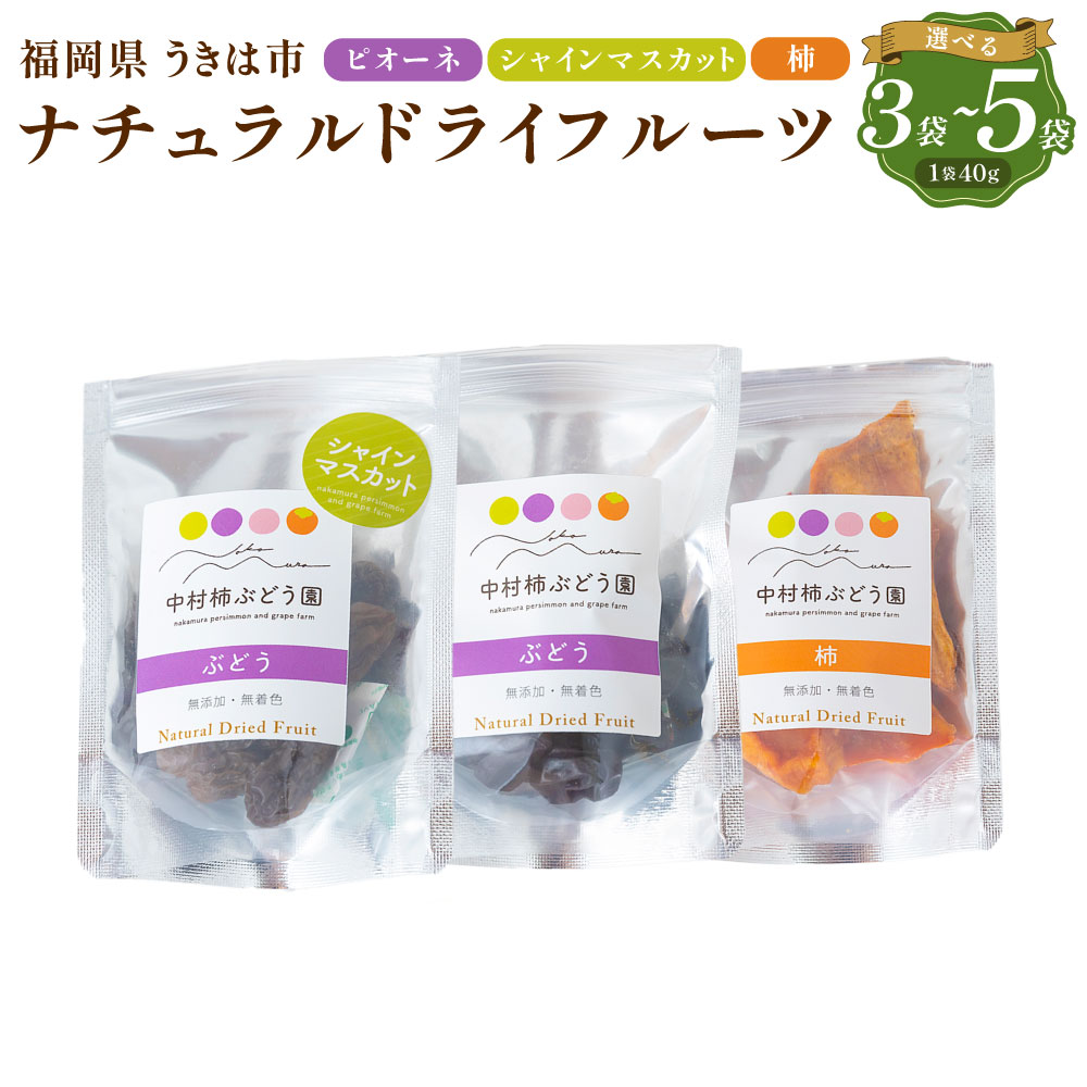 【ふるさと納税】【選べる種類】中村柿ぶどう園 ナチュラルドライフルーツ (ピオーネ・柿・シャインマスカット) 各約40g マスカット ブドウ ぶどう 葡萄 フルーツ ドライマスカット ドライ柿 ドライグレープ スイーツ 送料無料 福岡県 うきは市